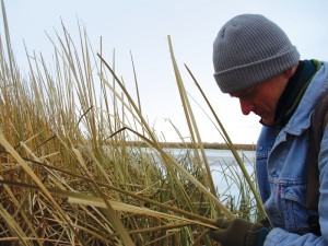 bioeconomy1