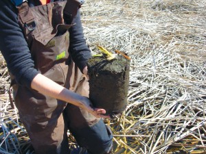 bioeconomy3