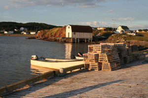 As of summer 2014, there are boil water advisories in 250 rural communities in Newfoundland and Labrador.