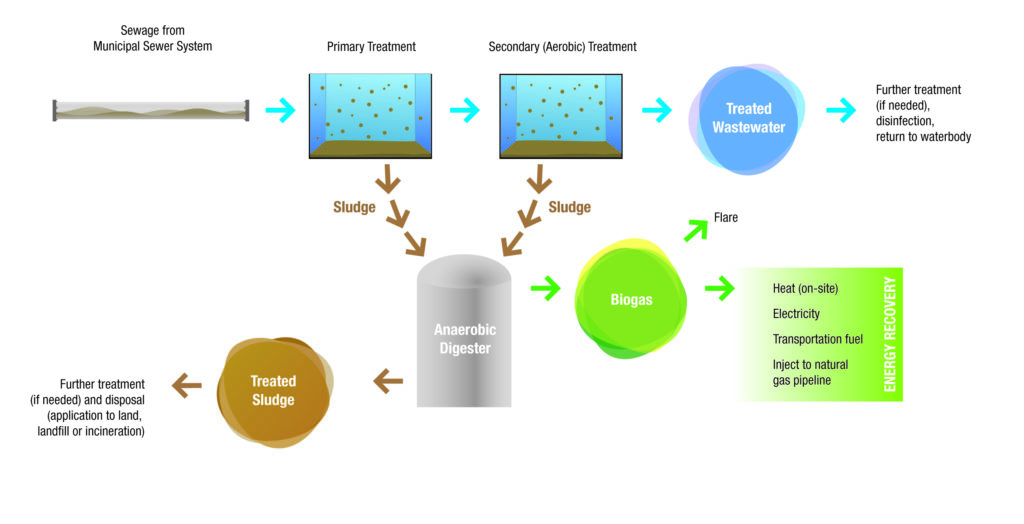 Anaerobic digestion and energy recovery from wastewater treatment. Credit: ECO.